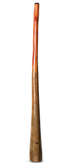 Tristan O'Meara Didgeridoo (TM293)
